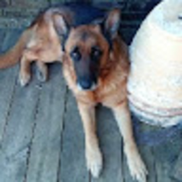 tinabutler0103
